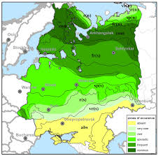 Attēlu rezultāti vaicājumam “Ptilium crista-castrensis”