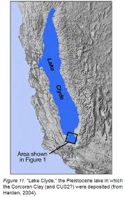 Image result for Clyde Valley Predators