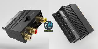 Image result for s-video scart