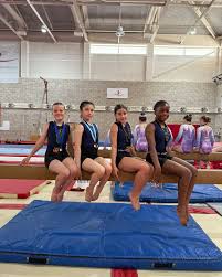 Image result for Huntingdon Gymnastics Club