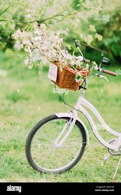 Image result for bicycle wedding