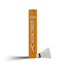 Image result for Fusion Badminton Club