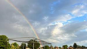 Image result for Old Colfeians Cc