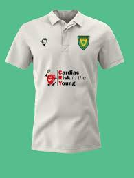 Image result for Appleton Cricket Club