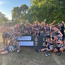 Image result for West London Wildcats