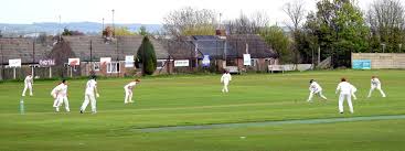 Image result for Doncaster Town Cricket Club