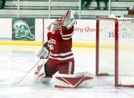 Image result for Rayleigh boys under 7's Leopards- need a Goalie!