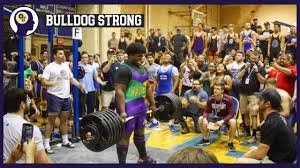 Image result for Bulldogs Power and strength