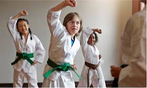 Image result for COURT FIELDS karate Academy