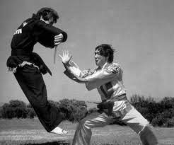 Image result for Kuk Sool Won Of Botesdale