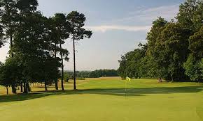 Image result for Sutton Green Golf Club