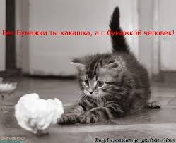 Картинки по запросу ты какашка