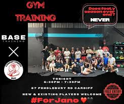 Image result for Cardiff Cobras