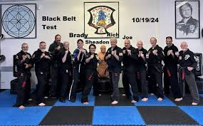Image result for Taunton Karate academy