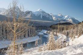 Résultat de recherche d'images pour "morant's curve"