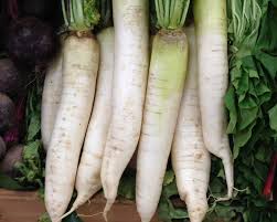 Attēlu rezultāti vaicājumam “Raphanus sativus”