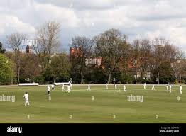 Image result for Chesterfield Cricket Club