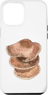 Attēlu rezultāti vaicājumam “Hapalopilus nidulans”