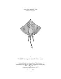 Image result for Dipturus laevis