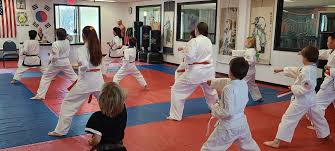 Image result for Hidden Dragon Karate-Do