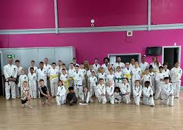 Image result for Turners Tae Kwon Do