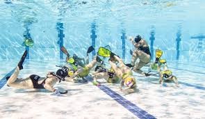 Image result for Dublin Underwater Hockey Team