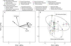 Attēlu rezultāti vaicājumam “Gymnostomum calcareum macro”