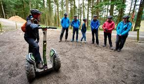 Image result for Go Ape! Moors Valley