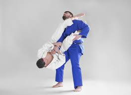 Image result for Halton BJJ & Judo Club
