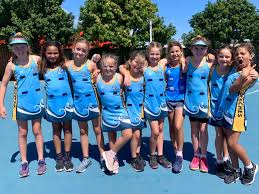Image result for Beeches Netball Club
