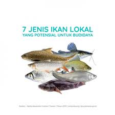 Image result for ikan