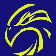 Image result for Normanton Falcons Netball Club