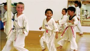 Image result for Kees Tae Kwon Do