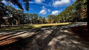 Image result for City Of Carlisle Sc