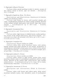 Attēlu rezultāti vaicājumam “Hypoxylon fragiforme / howeianum”