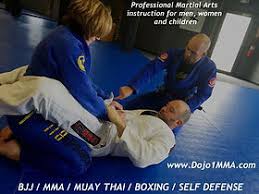 Image result for Professional  Martial Arts Academy