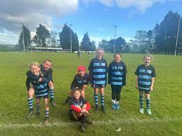 Image result for Mumbles Rugby Football Club