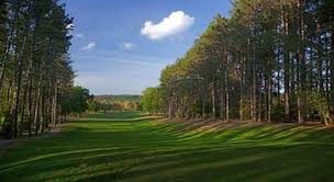 Image result for Greets Green Bowling Club