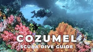 Resultado de imagen para cozumel dive