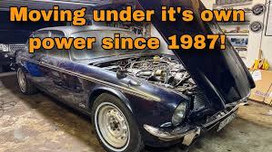 Image result for Fern Gray 1976 Jaguar