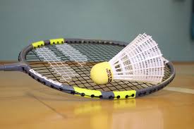 Image result for Suffolk Badminton Academy - Suffolk