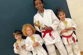 Image result for Windsor Karate Club
