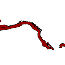 Attēlu rezultāti vaicājumam “Chara aspera”