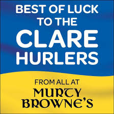 Image result for Clarehurlers