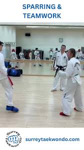 Image result for Surrey Taekwondo