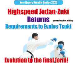 Image result for Jodan Karate