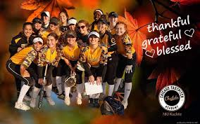 Image result for Cheetahs Softball Team
