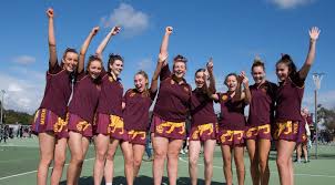 Image result for Wombles Netball Club