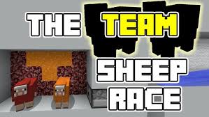 Image result for Teamsheep