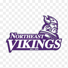 Image result for North East Vikings